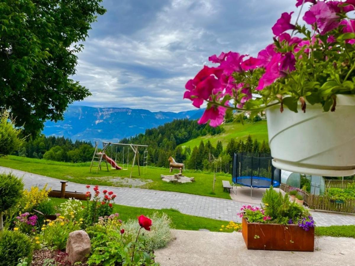 Thalerhof Appartement Katrin Verano エクステリア 写真